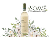 【得獎白酒】 帕斯卡酒莊白花香白酒 Soave︱Soave DOC Le Collezioni Pasqua